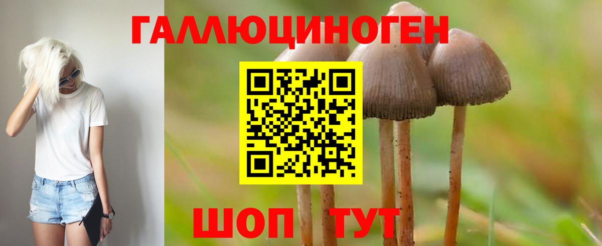Галлюциногенные грибы GOLDEN TEACHER  Вход с VPN  Георгиевск 