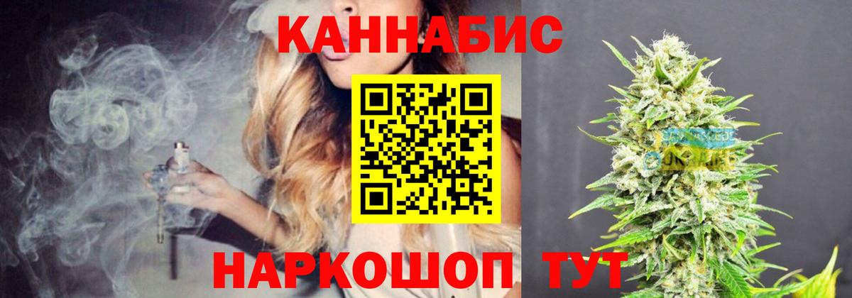 Конопля OG Kush Георгиевск